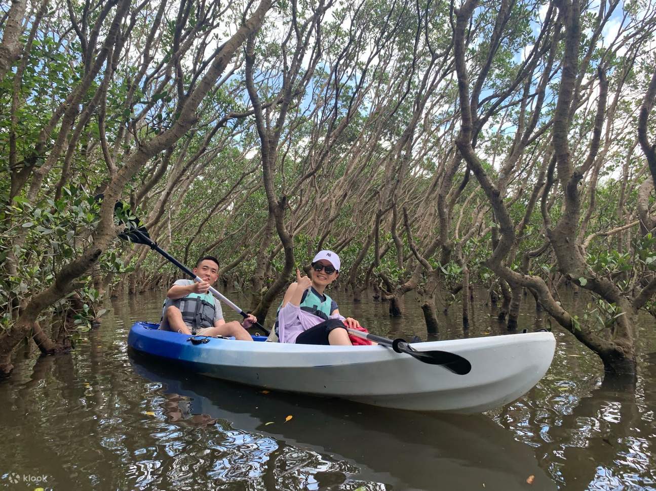 Meeresökologische Entdeckungstour – Streifzug durch den Mangrovenwald von Ting Kok und den Geopark Ma Shi Chau
